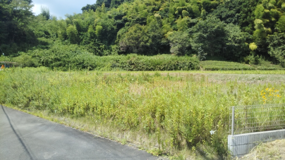 大子町袋田 宅地132.19坪 袋田の滝まで車で3分!!