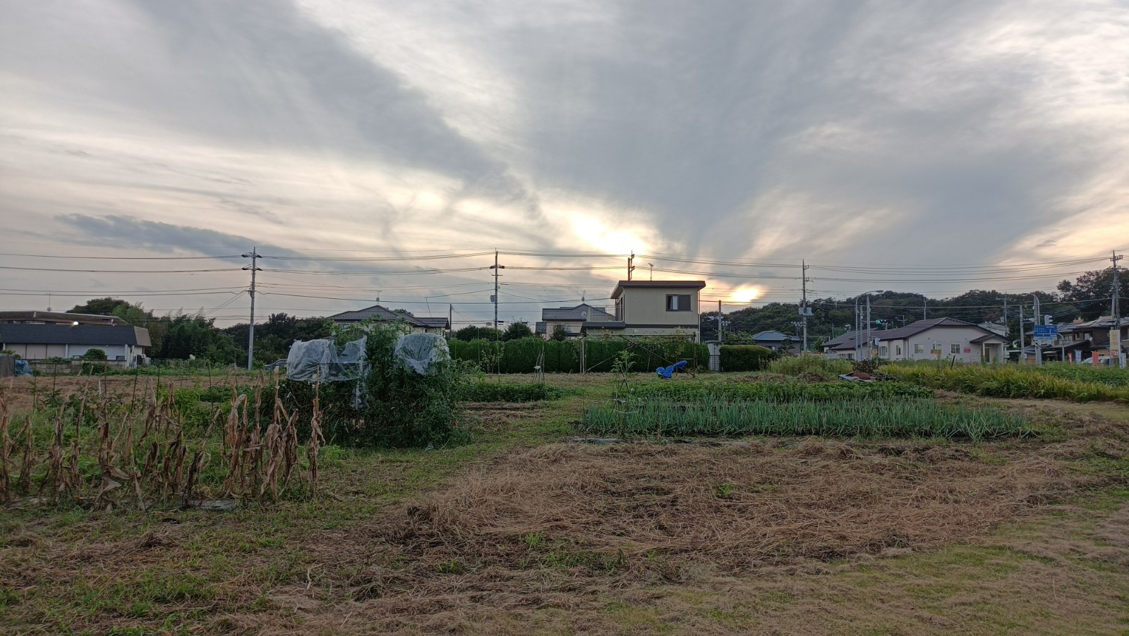 常陸大宮市野中町 医療福祉関係等、事業用借地1289.86坪!!